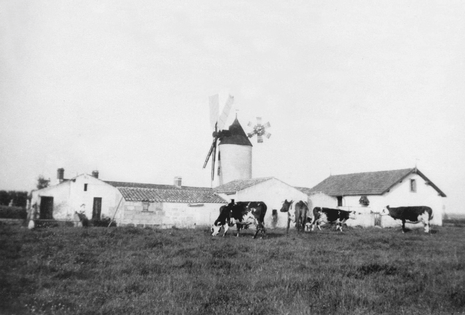 La Mie Caline Saint Jean De Monts Siege Social